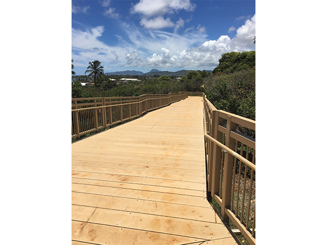 Dynaplank Boardwalk Plank Walkway
